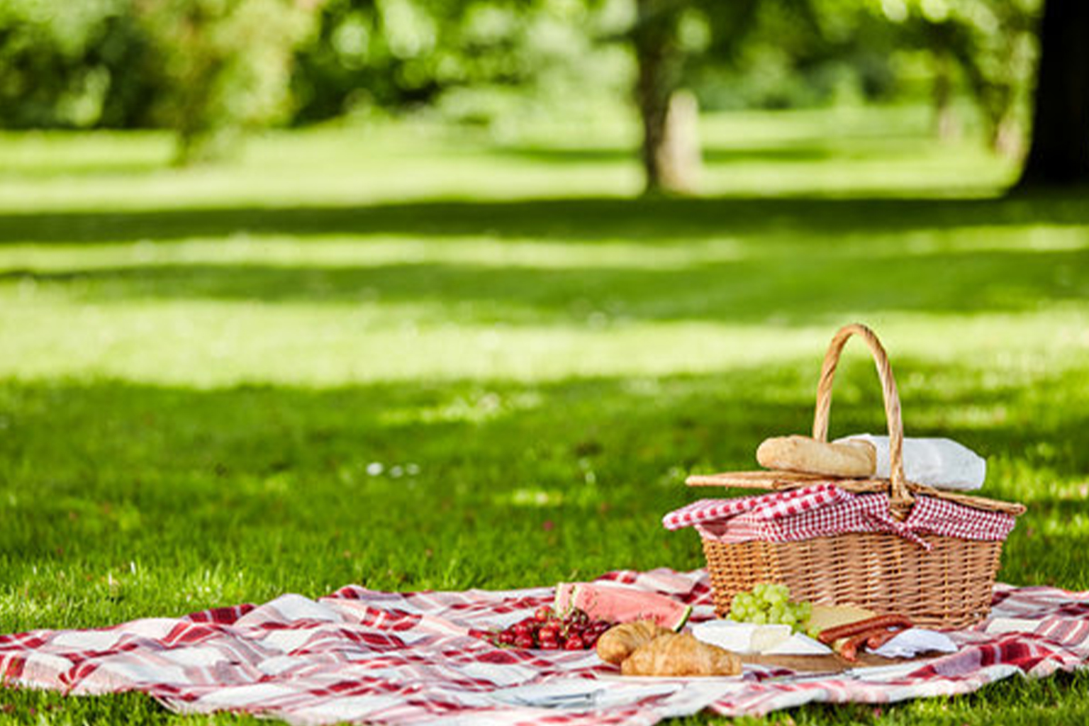 ピクニックの様子